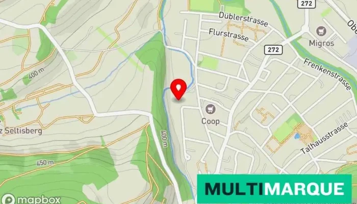 Bruhl Nutzfahrzeuge Gmbh Karte - Bubendorf