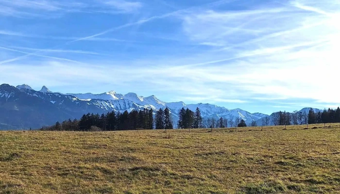 Buvette Du Chalet Neuf -  Aktion - Riaz