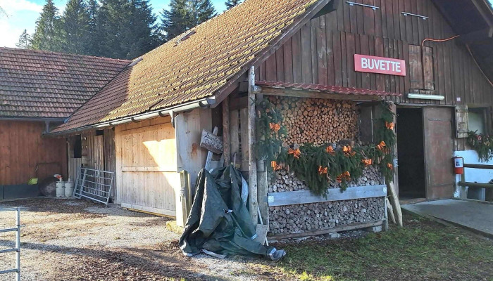 Buvette Du Chalet Neuf -  Restaurant - Riaz