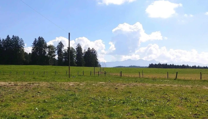 Buvette Du Defenant Aktion - Grangettes