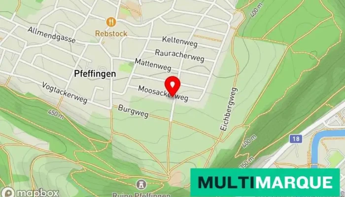 Caplimted Karte - Pfeffingen