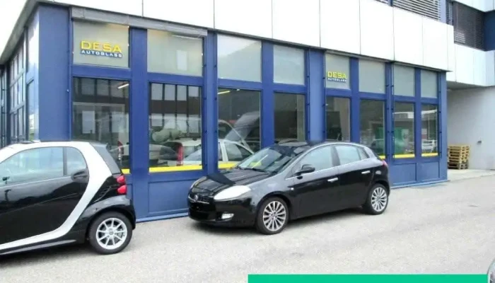 Desa Autoglass Ag -  Vom Inhaber - Camorino