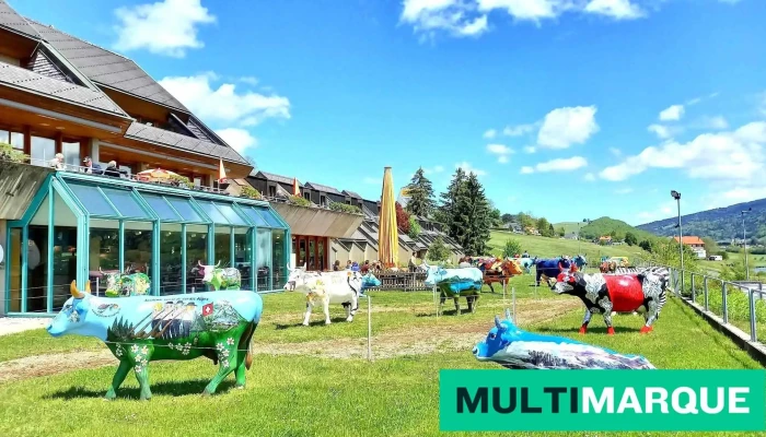 Drive -  In Motel De La Gruyere Von Gasten - Avry-devant-pont