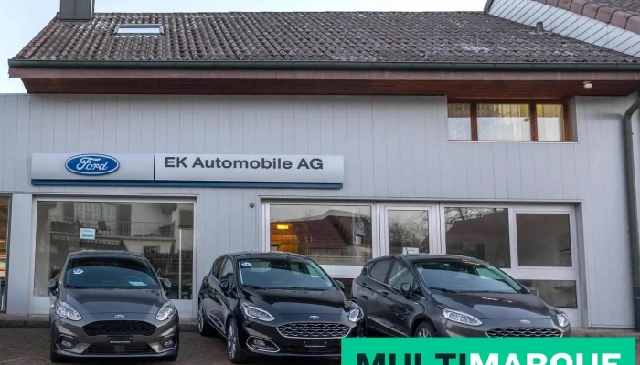 Ek Automobile Ag Vom Inhaber - Kestenholz