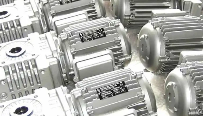 Elektromotorenwerk Brienz Ag - Brienz