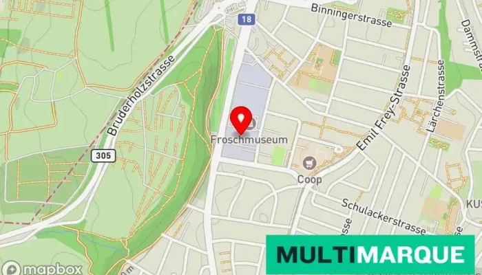 Emil Frey Munchenstein Karte - Münchenstein