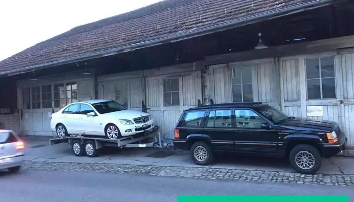 Express Auto Transport - Unterseen