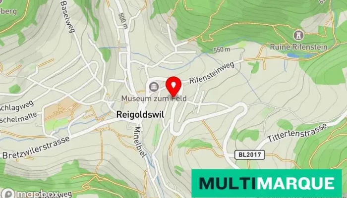Fahrschule Cecile Rolli Karte - Reigoldswil
