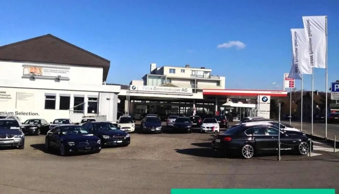 Felix Emmenegger Ag, Windisch - Windisch