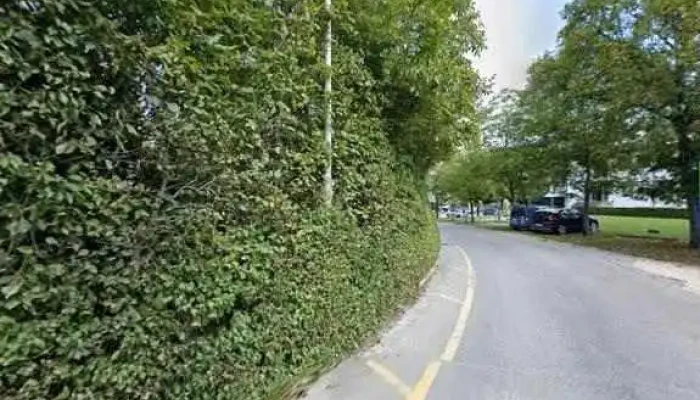Ferasautos Alsayed Ali -  Street View 360deg Fotos - Zwingen
