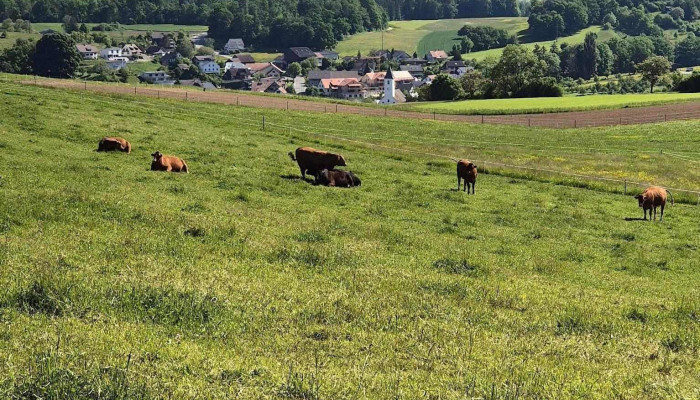 Flugplatz Fricktal -  Schupfart Alle - Schupfart