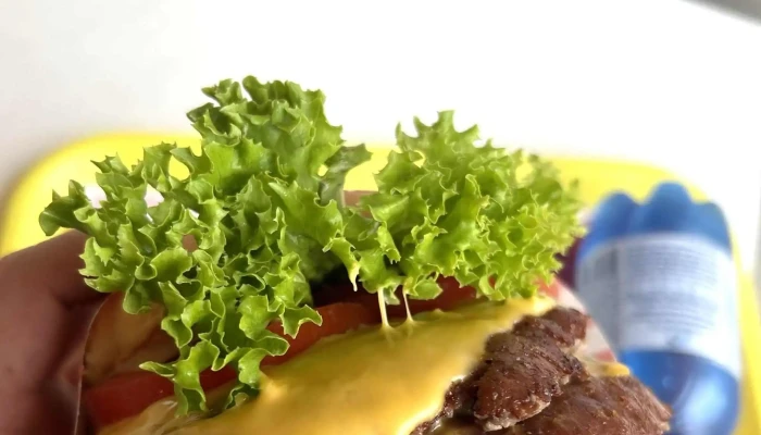 Fully Burgers And Fries -  Wegbeschreibung - Tenero-contra