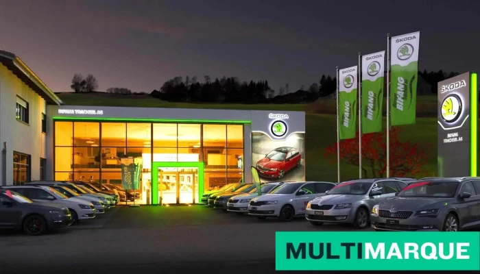 Garage Bifang Trachsel Ag -  Alle - Oberschrot