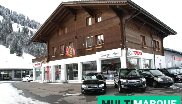 Garage Carrosserie Gobeli Ag - Lenk