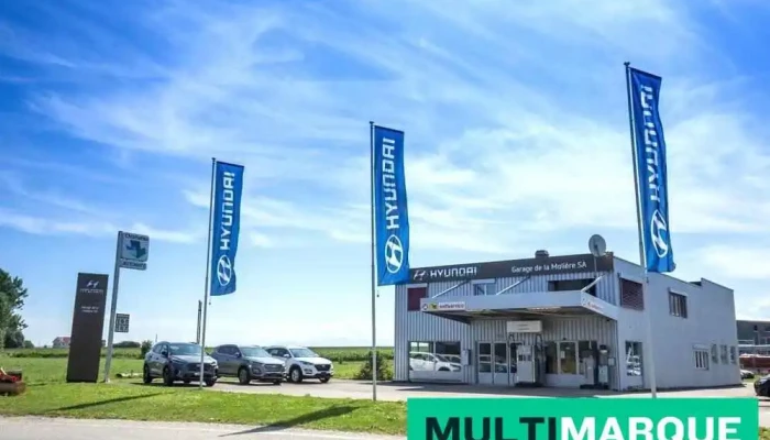 Garage De La Moliere Sa Vom Inhaber - Estavayer-le-lac