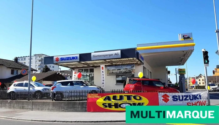 Garage Güntensperger Ag - Rapperswil-Jona