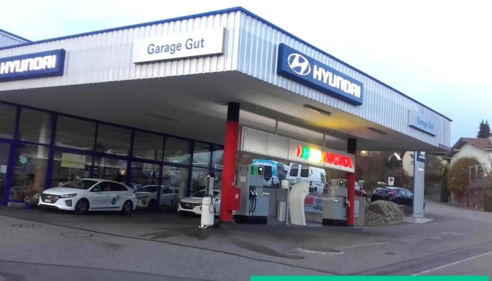 Garage Gut -  Alle - Meisterschwanden
