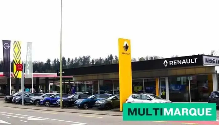 Garage Keigel Zwingen -    Dacia Vom Inhaber - Zwingen