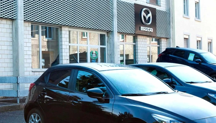 Garage Rickli -  Autohandler - Gelterkinden