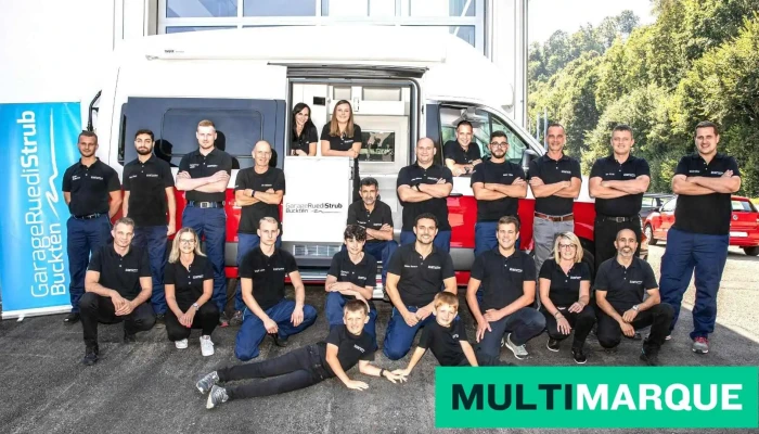 Garage Ruedi Strub Ag -  Alle - Buckten