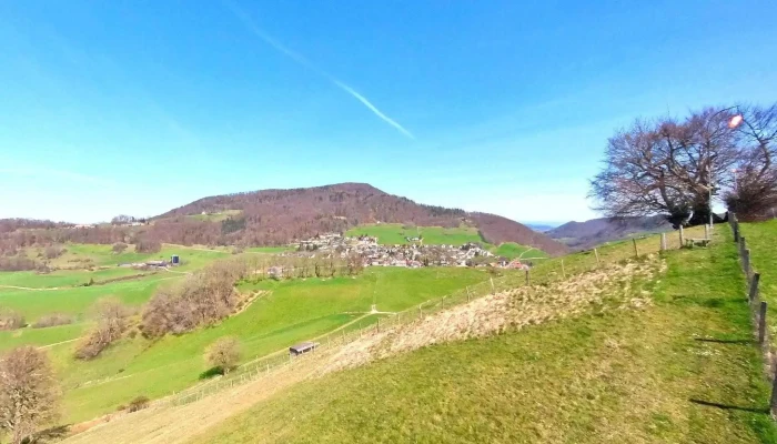 Gasthof Lowen Neueste - Wisen
