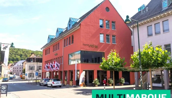 Gasthof Mühle - Aesch
