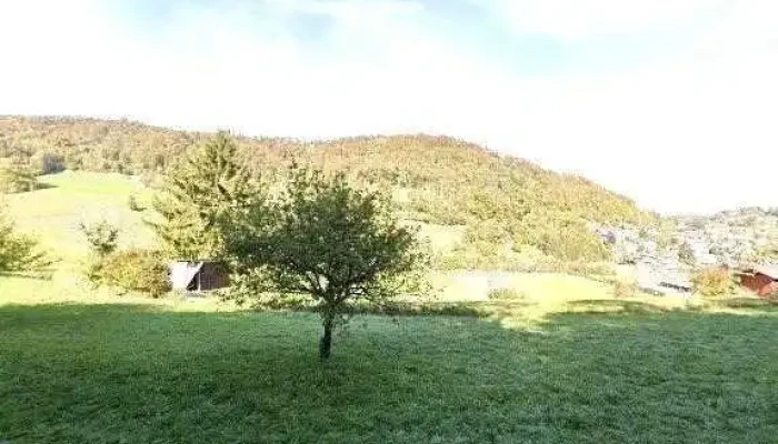 Gebrauchtuningteile -  Alle - Oberdorf
