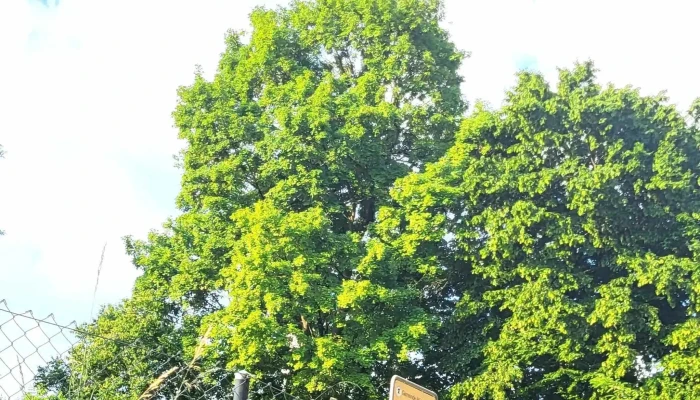 Gemeinde Munchenstein Munchenstein - Münchenstein