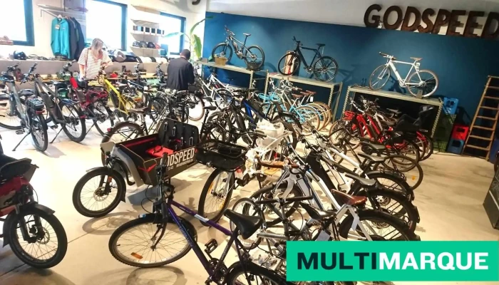 Godspeed Ebike Lugano -  Alle - Pambio - Noranco