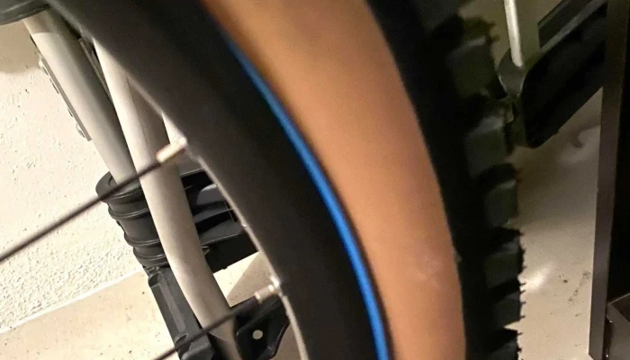 Godspeed Ebike Lugano -  Fahrradgeschaft - Pambio - Noranco