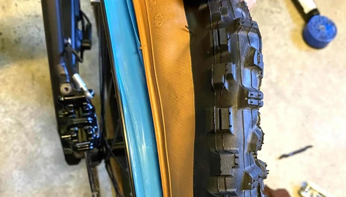 Godspeed ebike Lugano - Pambio - Noranco