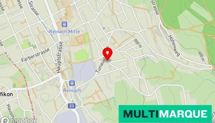 Karte von Goldtimer AG Autohändler, Reinigungsmittelanbieter in Reinach
