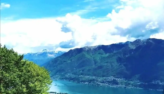 Grotto La Ginestra Da Ghilardi -  Vom Inhaber - Ronco Sopra Ascona