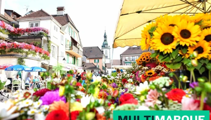 Gruyere Tourism -  Vom Inhaber - Bulle