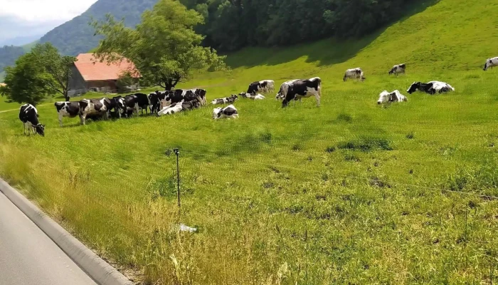 Gruyeres   Parking P1   Chavonne Meinungen - Gruyères