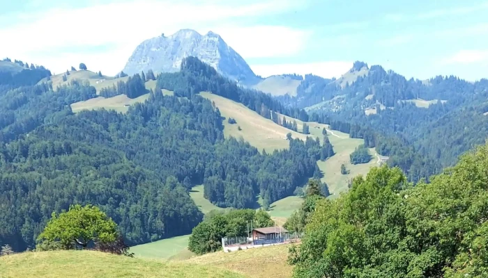 Gruyeres Ville Wo - Greyerz