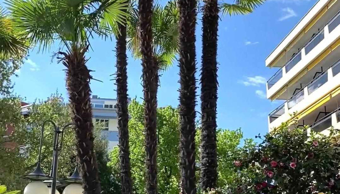 H4 Hotel Arcadia Locarno -  Aussenbereich - Locarno