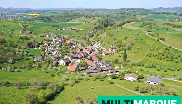 Hafelfingen Alle - Häfelfingen