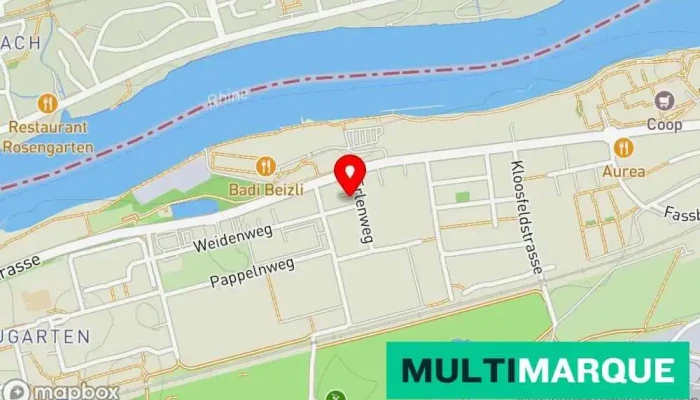 Karte von Häny AG Reparaturwerkstatt für Elektromotoren, Pumpenanbieter in Rheinfelden