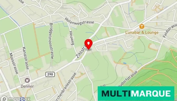 Karte von Hauri Autotechnik AG Autowerkstatt in Reinach