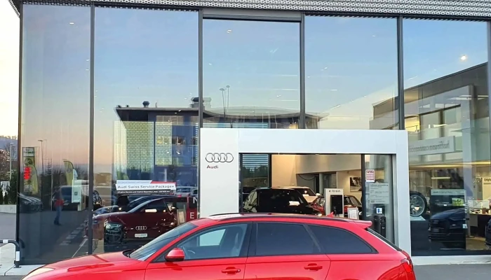 Hoffmann Automobile Ag Audi Vertretung -  Standort - Aesch