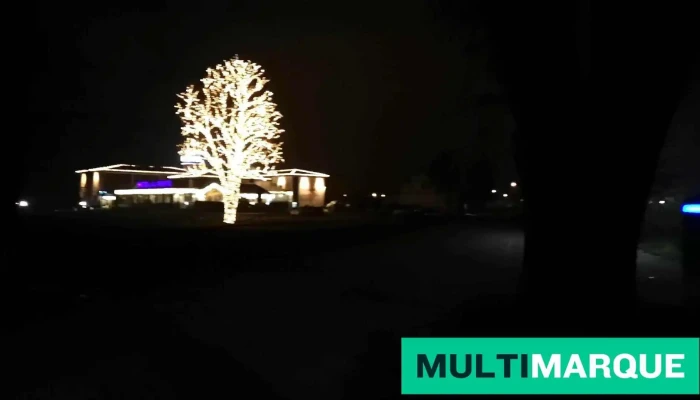 Hotel Al Ponte -  Aussenbereich - Wangen An Der Aare