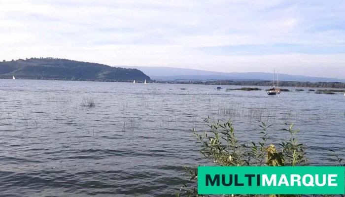 Hotel Bad Murtensee -  Videos - Muntelier