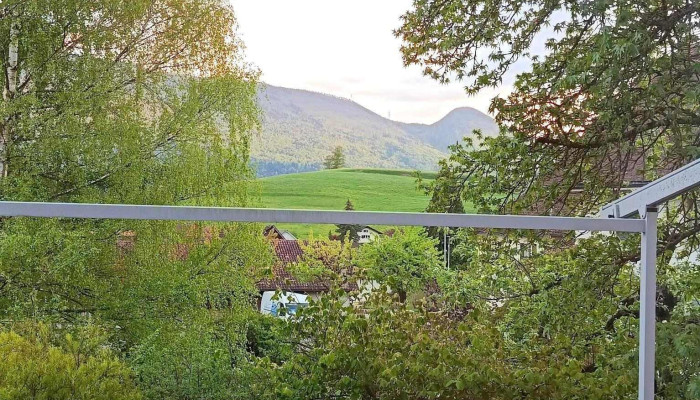 Hotel Baders Krone -  Neueste - Laupersdorf