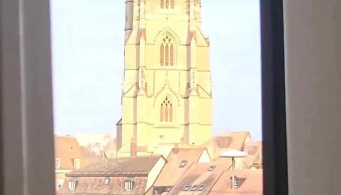 Hotel De La Rose Fribourg Videos - Fribourg