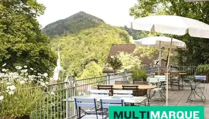 Hotel Erica -  Alle - Langenbruck