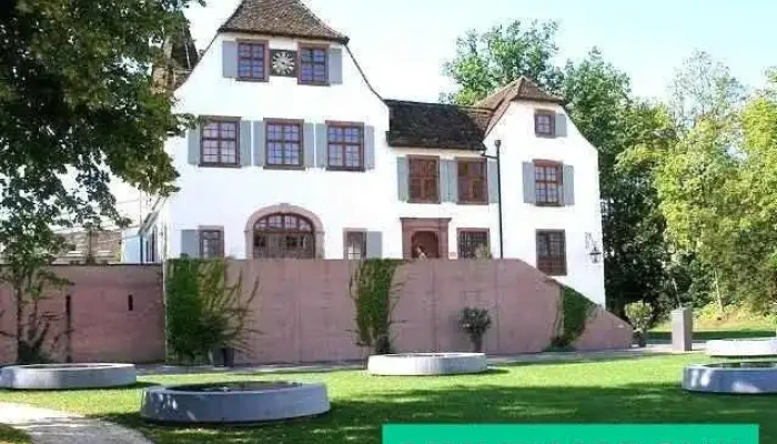 Hotel im Schlosspark - Binningen