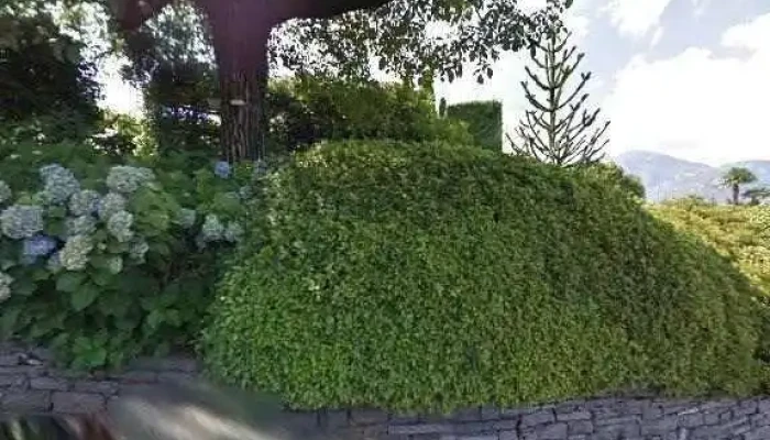 Hotel Tobler -  Street View 360deg Fotos - Ascona