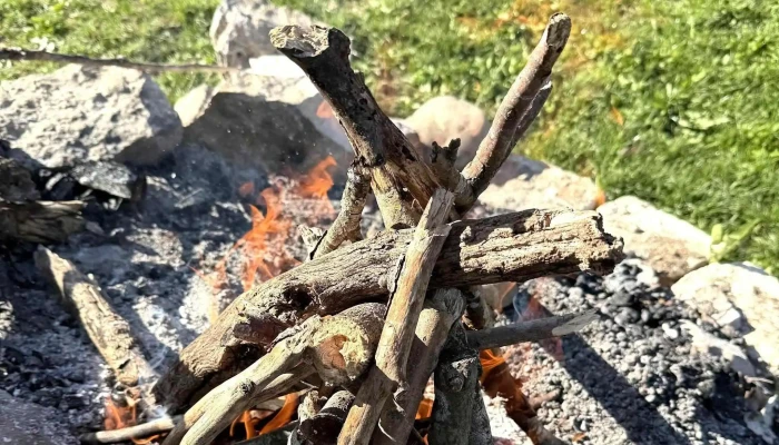 Hupp Lodge -  Jetzt Geoffnet - Wisen