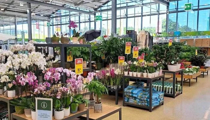 Jumbo Maximo Givisiez -  Innenansichten - Givisiez